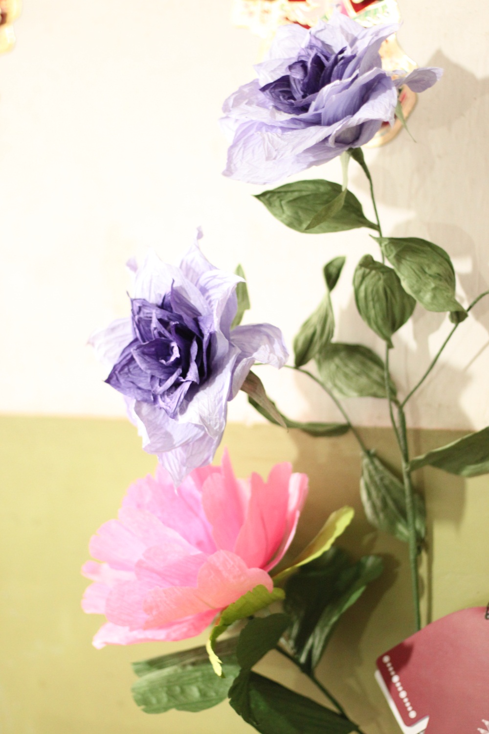 img_7896.jpg