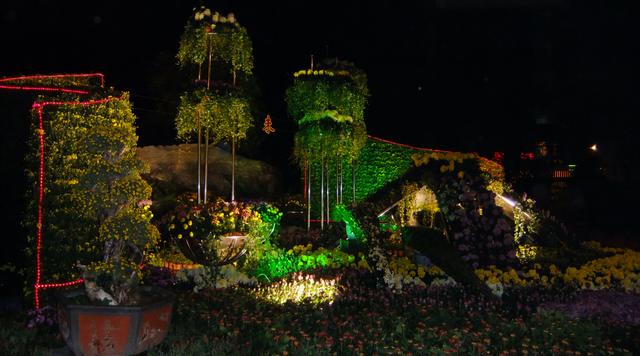 dscf6416.jpg
