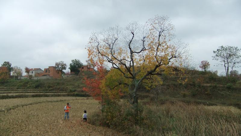 dscf6509.jpg