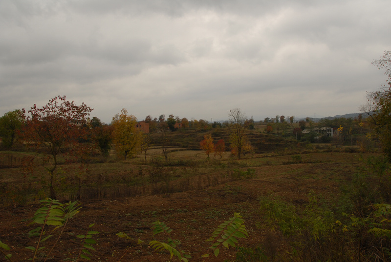 dsc_0041.jpg