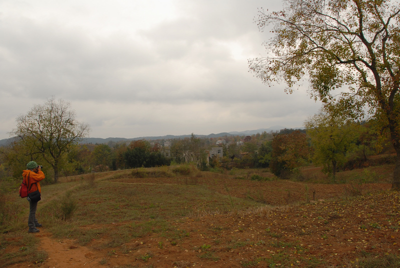 dsc_0043.jpg
