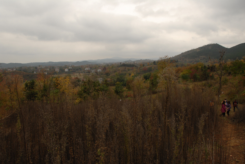 dsc_0047.jpg