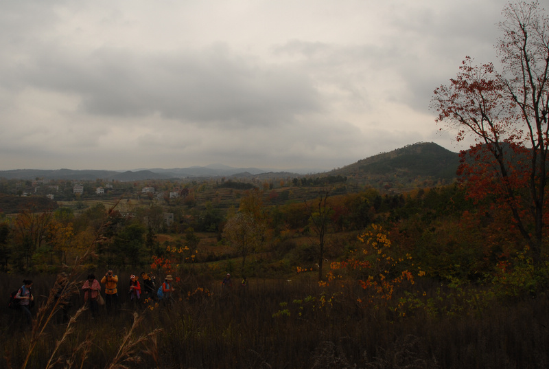 dsc_0049.jpg