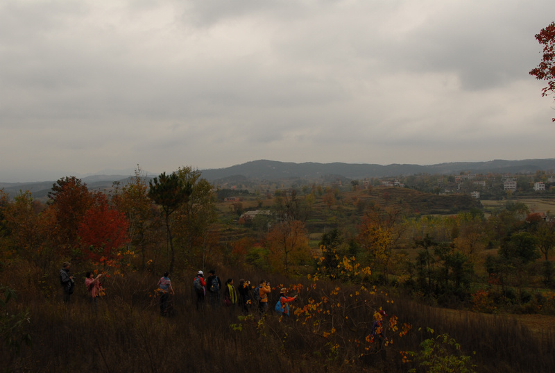 dsc_0050.jpg