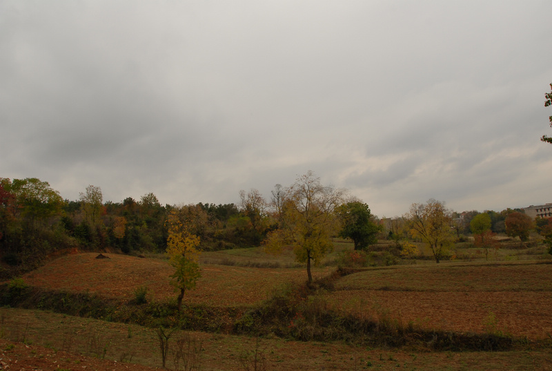dsc_0057.jpg