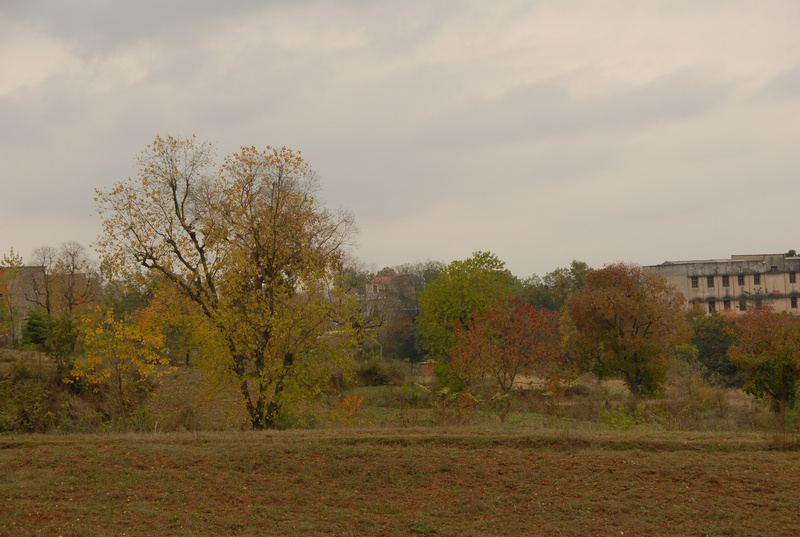dsc_0058.jpg