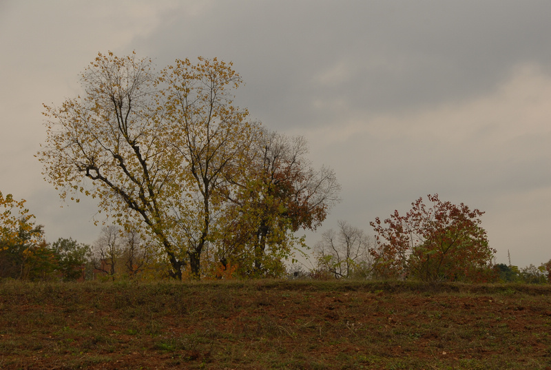 dsc_0059.jpg