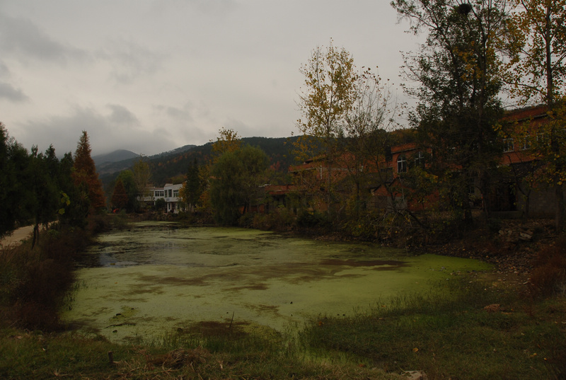 dsc_0066.jpg