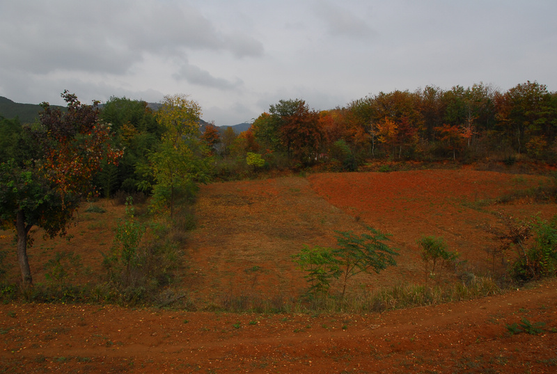 dsc_0077.jpg