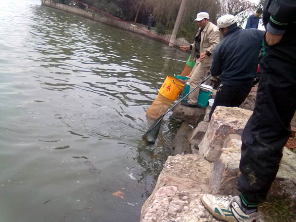 201111061485.jpg
