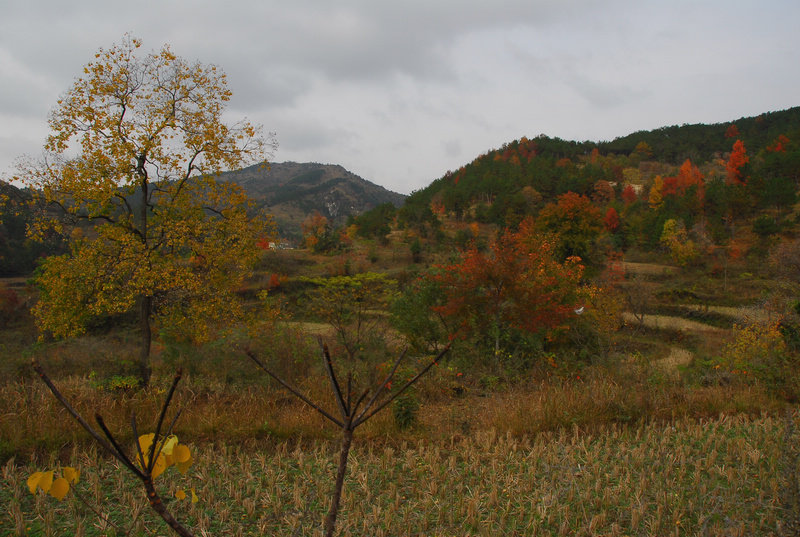 dsc_0092.jpg