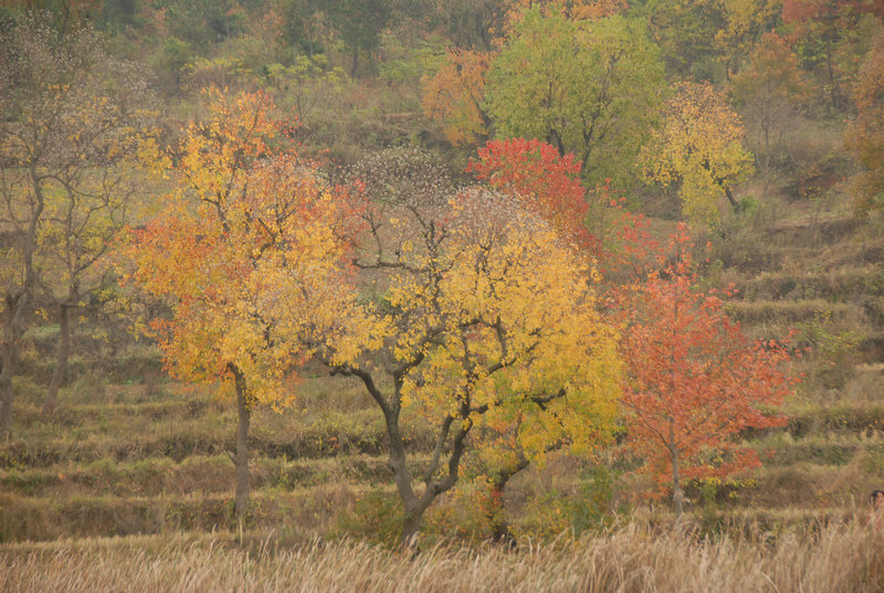 dsc_0015.jpg