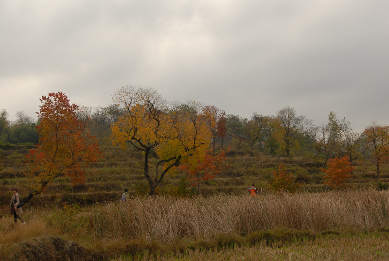 dsc_0018.jpg