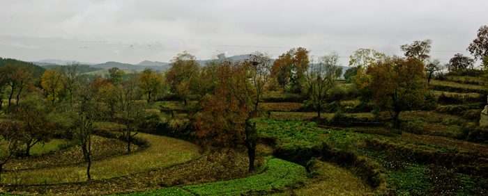 _dsc7588a.jpg