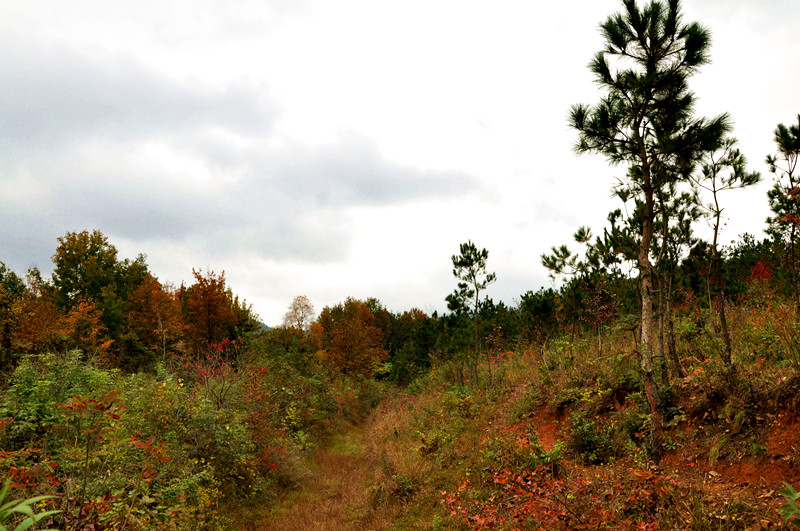dsc_0102_.jpg