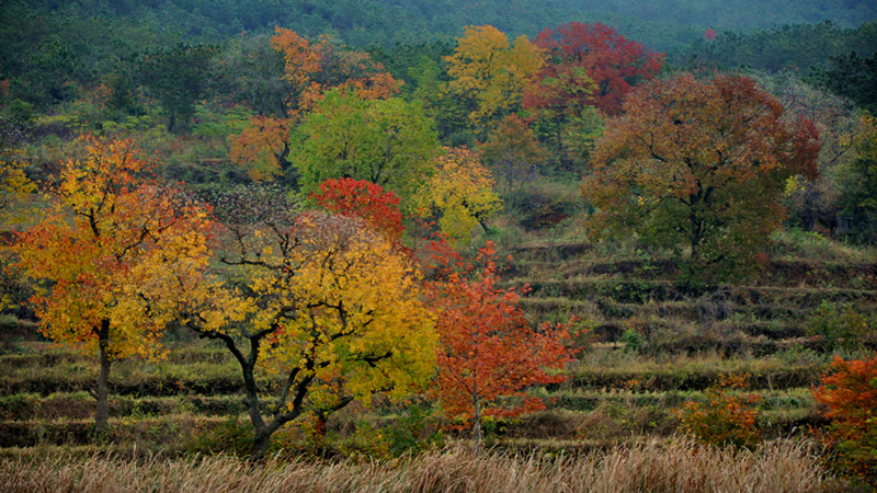 dsc_0022_.jpg