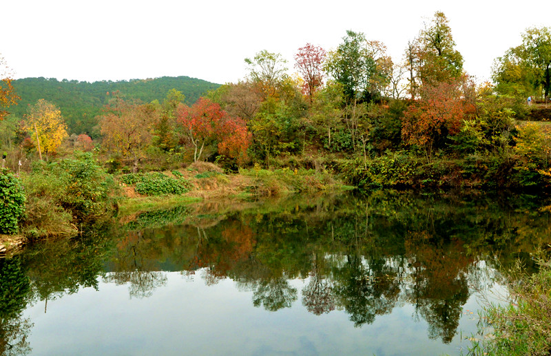 dsc_0153_.jpg