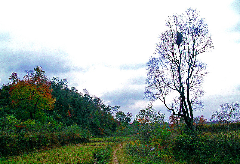 dscn1635_.jpg