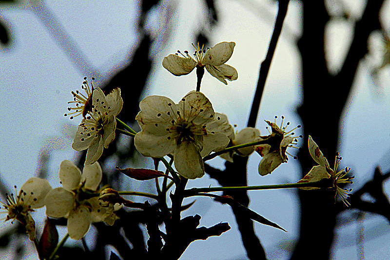_mg_0253_.jpg