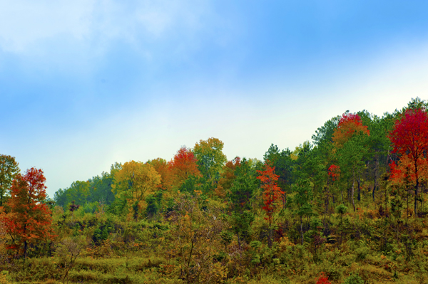 _dsc7657_1a.jpg