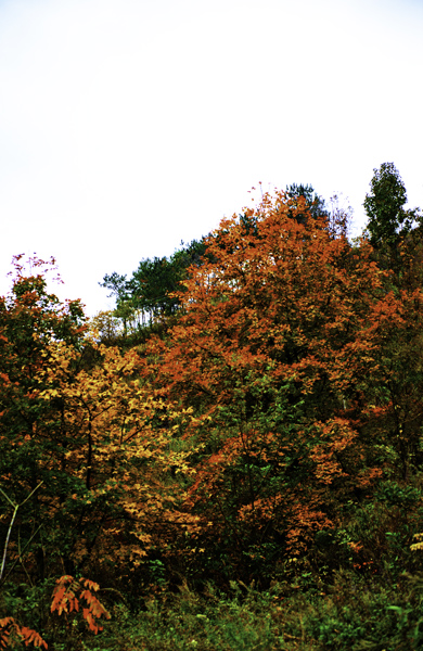 _dsc7674a.jpg