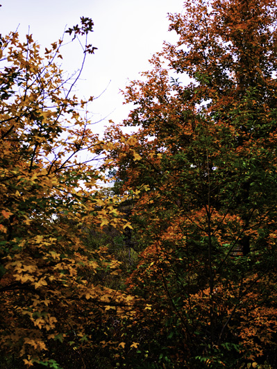 _dsc7675a.jpg