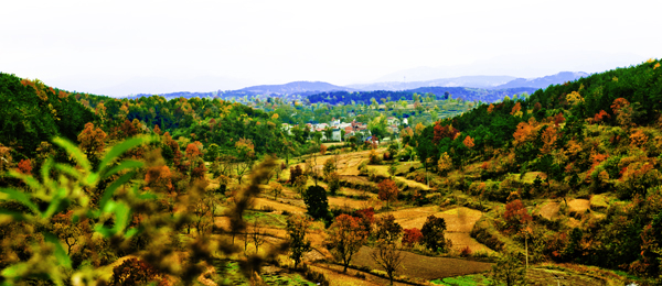 _dsc7685a.jpg