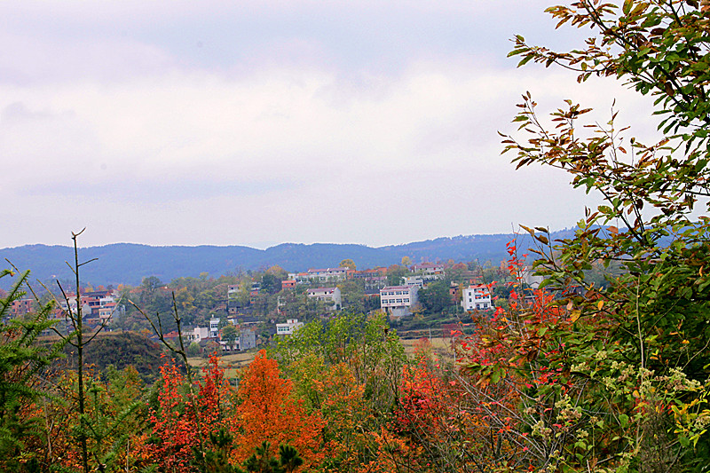 _mg_0062_.jpg
