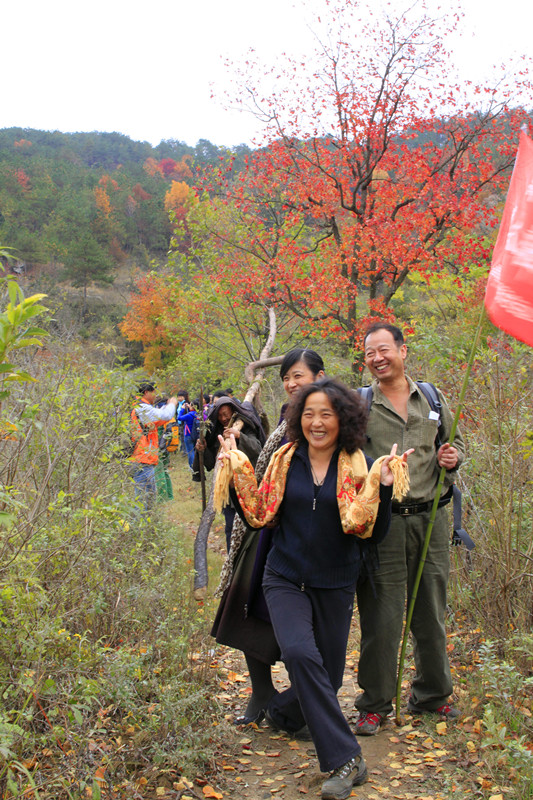 _mg_0074_.jpg