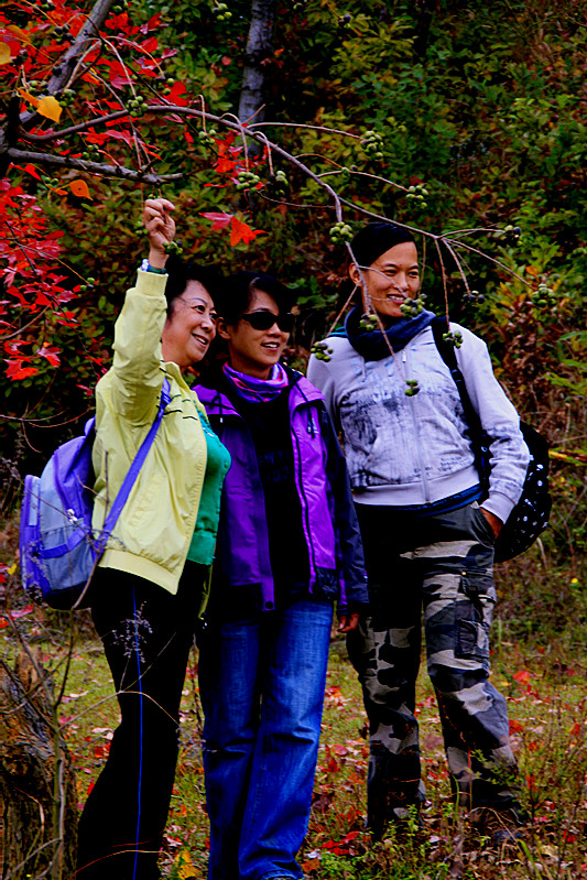 _mg_0096_.jpg