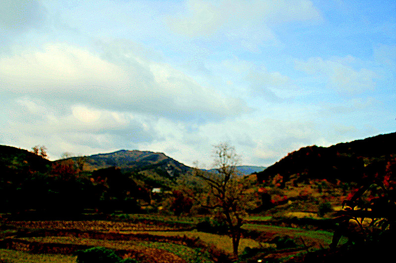 _mg_0240_.jpg