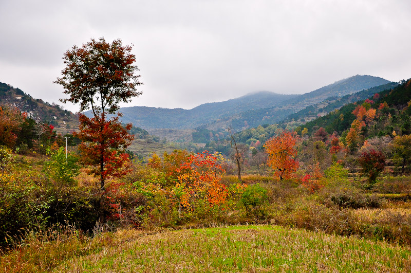 dsc_0050-1.jpg
