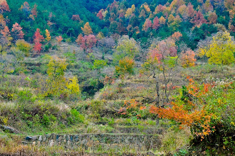 dsc_0058-1.jpg