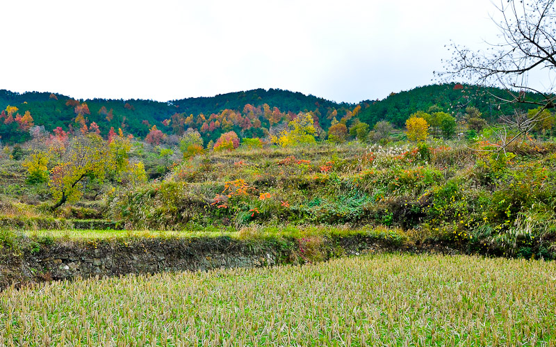 dsc_0062-1.jpg