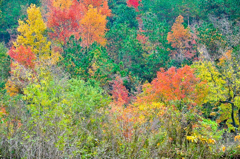 dsc_0065-1.jpg