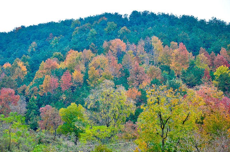 dsc_0069-1.jpg