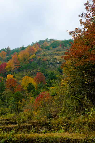 _dsc7648a.jpg
