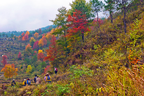 _dsc7645_1a.jpg