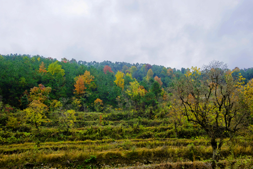 _dsc7633a.jpg
