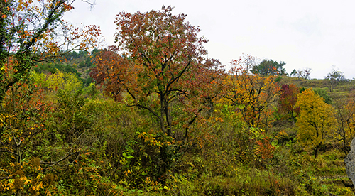 _dsc7632a.jpg
