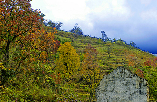 _dsc7631a.jpg