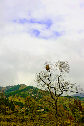 _dsc7614a.jpg