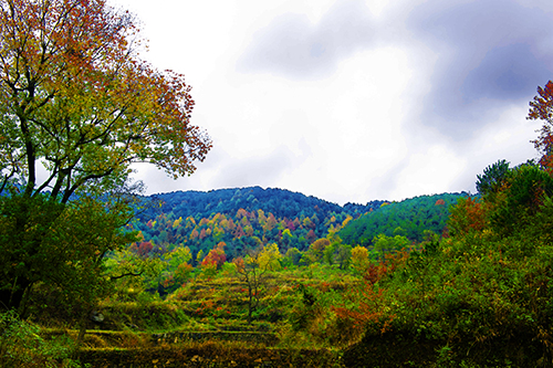 _dsc7611a.jpg