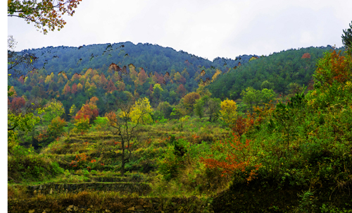 _dsc7610a.jpg