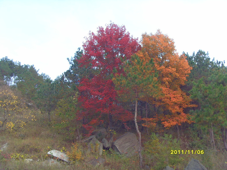 sdc13032_.jpg
