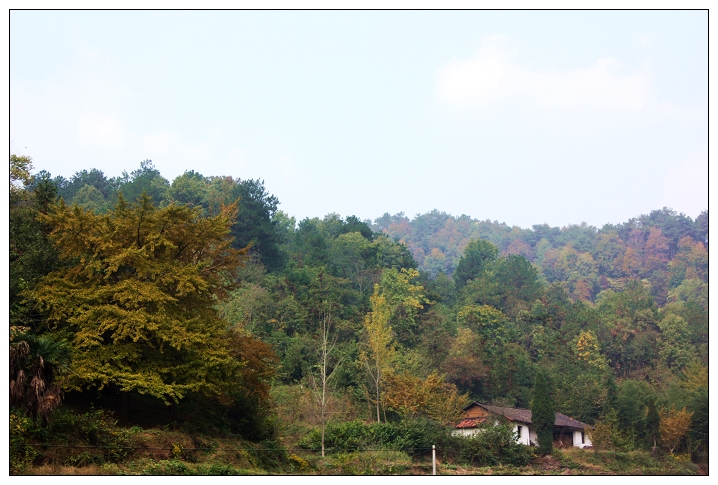 20111121113528385.jpg