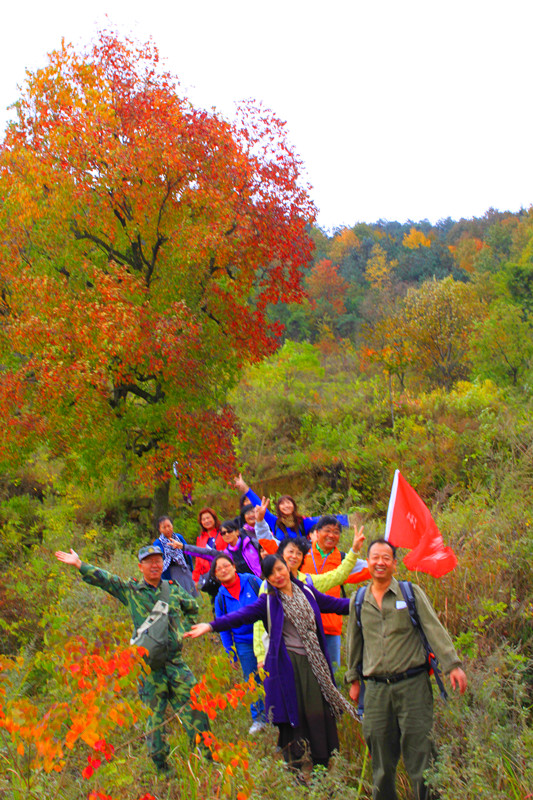 _mg_0085_.jpg