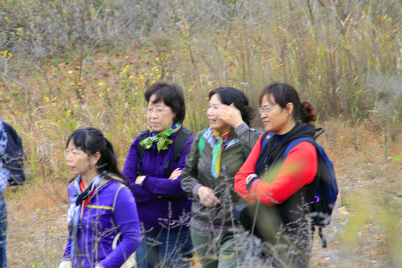 _mg_0116_.jpg