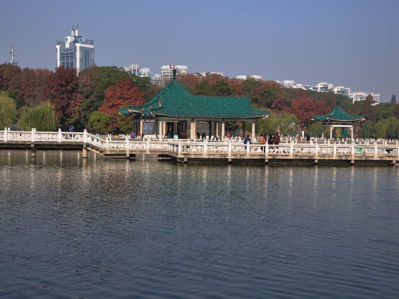 dsc_2210a.jpg