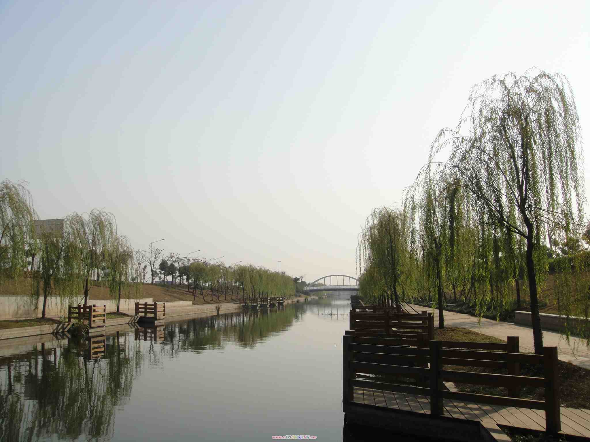 dsc02874.jpg